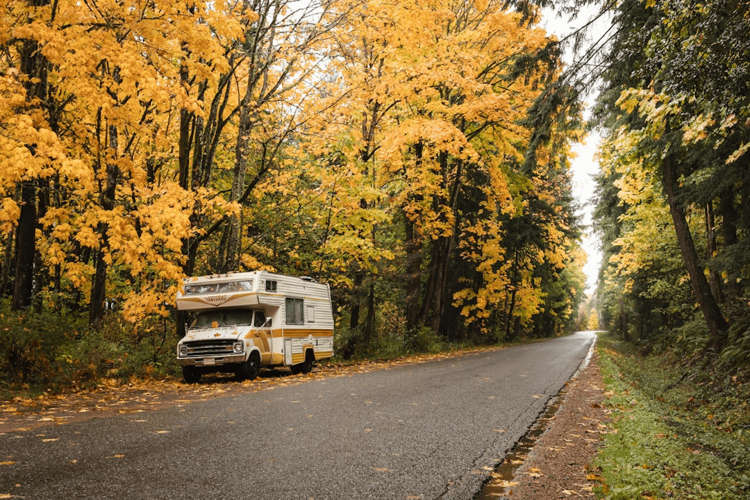 Autumn Wanderer